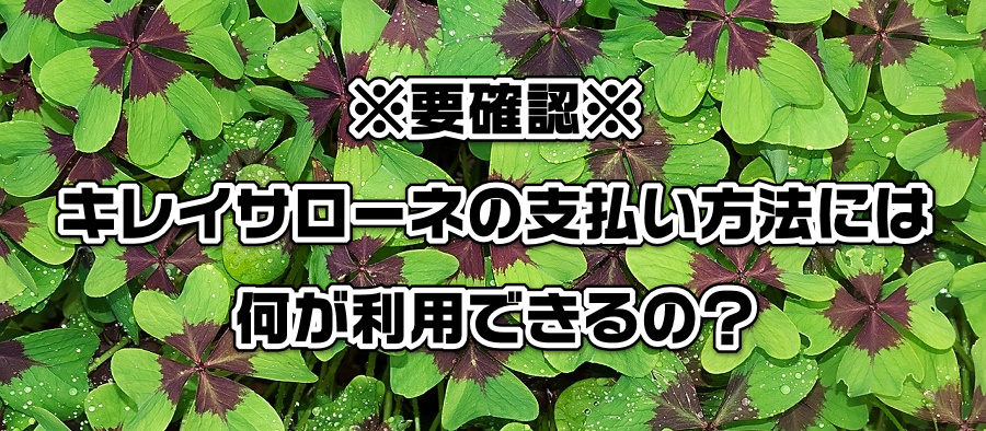 vmFLCT[l̎x@ɂ͉pł́H